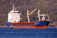 বাল্ক ক্যারিয়ার বিক্রির জন্য