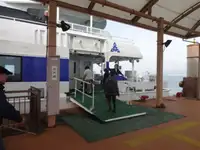 ক্যাটামারান বিক্রির জন্য