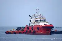 টাউবোট বিক্রির জন্য