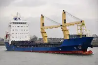 বাল্ক ক্যারিয়ার বিক্রির জন্য