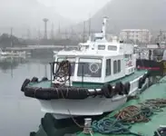 পাইলট নৌকা বিক্রির জন্য