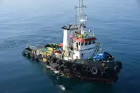 টাউবোট বিক্রির জন্য