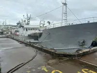 লম্বা লাইনের জাহাজ বিক্রির জন্য