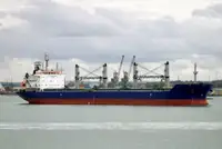 বাল্ক ক্যারিয়ার বিক্রির জন্য