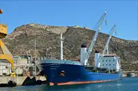 বাল্ক ক্যারিয়ার বিক্রির জন্য