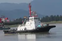 টাউবোট বিক্রির জন্য