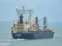 বাল্ক ক্যারিয়ার বিক্রির জন্য