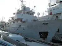 টহল নৌকা বিক্রির জন্য