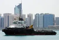 টাউবোট বিক্রির জন্য