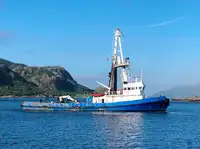 টাউবোট বিক্রির জন্য