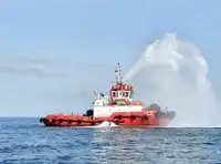 টাউবোট বিক্রির জন্য