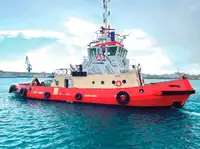 টাউবোট বিক্রির জন্য
