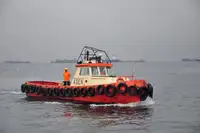 টাউবোট বিক্রির জন্য