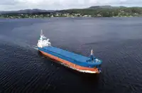 বাল্ক ক্যারিয়ার বিক্রির জন্য