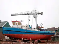 কাজের নৌকা বিক্রির জন্য