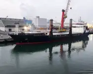 বাল্ক ক্যারিয়ার বিক্রির জন্য