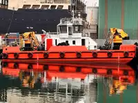 বহুমুখী বিক্রির জন্য