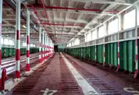 রোরো জাহাজ বিক্রির জন্য