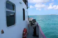 বহুমুখী বিক্রির জন্য